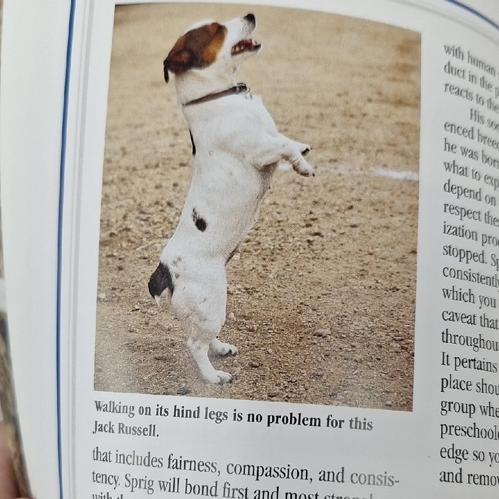 Small Dog Breeds Guide - Brown and Gray Cover